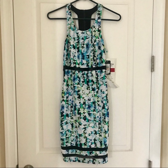 Calvin Klein Flower Mesh Dress - Picture 1 of 4